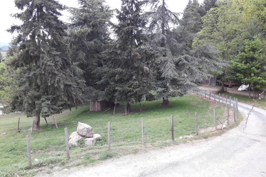 Gite Le Pilat Vernoux-en-Vivarais Bagian luar foto