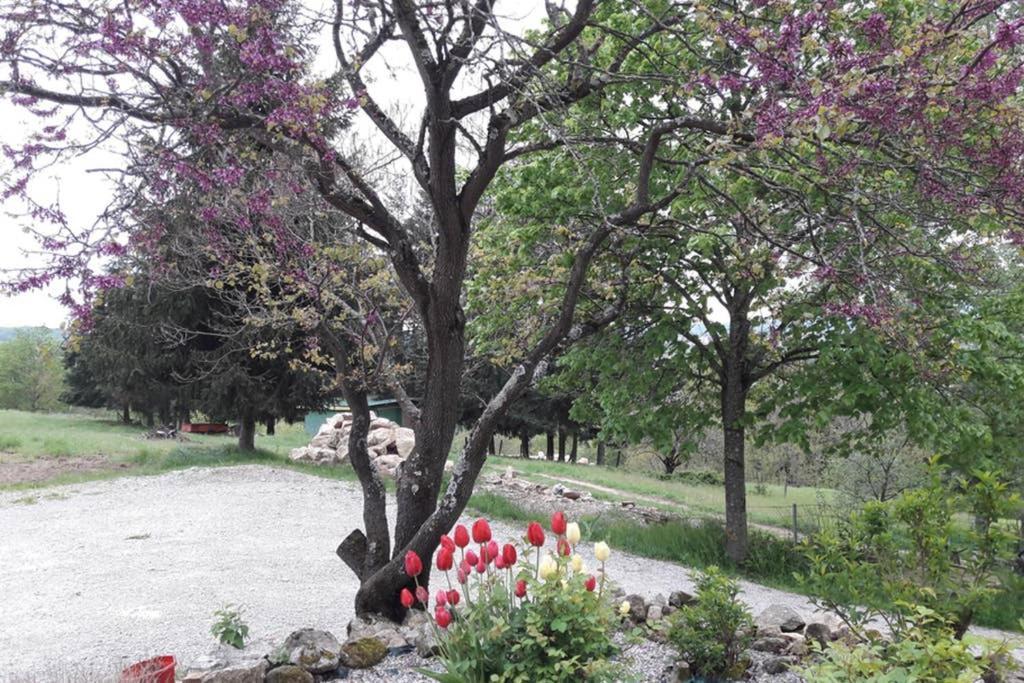 Gite Le Pilat Vernoux-en-Vivarais Bagian luar foto